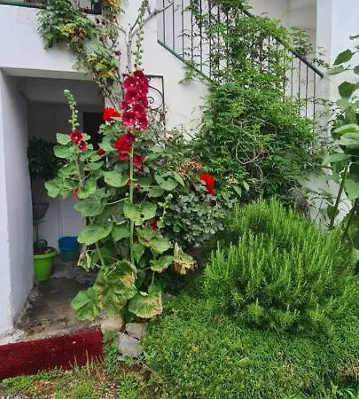 Appartement Da Ersilia